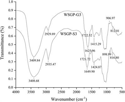 Characterisation, Chain Conformation and Antifatigue Effect of Steamed Ginseng Polysaccharides With Different Molecular Weight